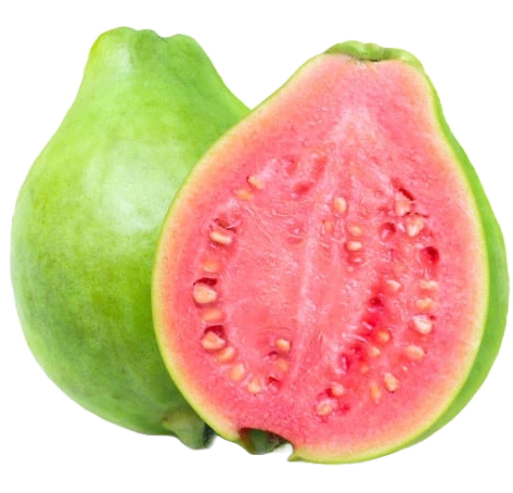 Guava Collagen Serum - THE FINE ORGANICS