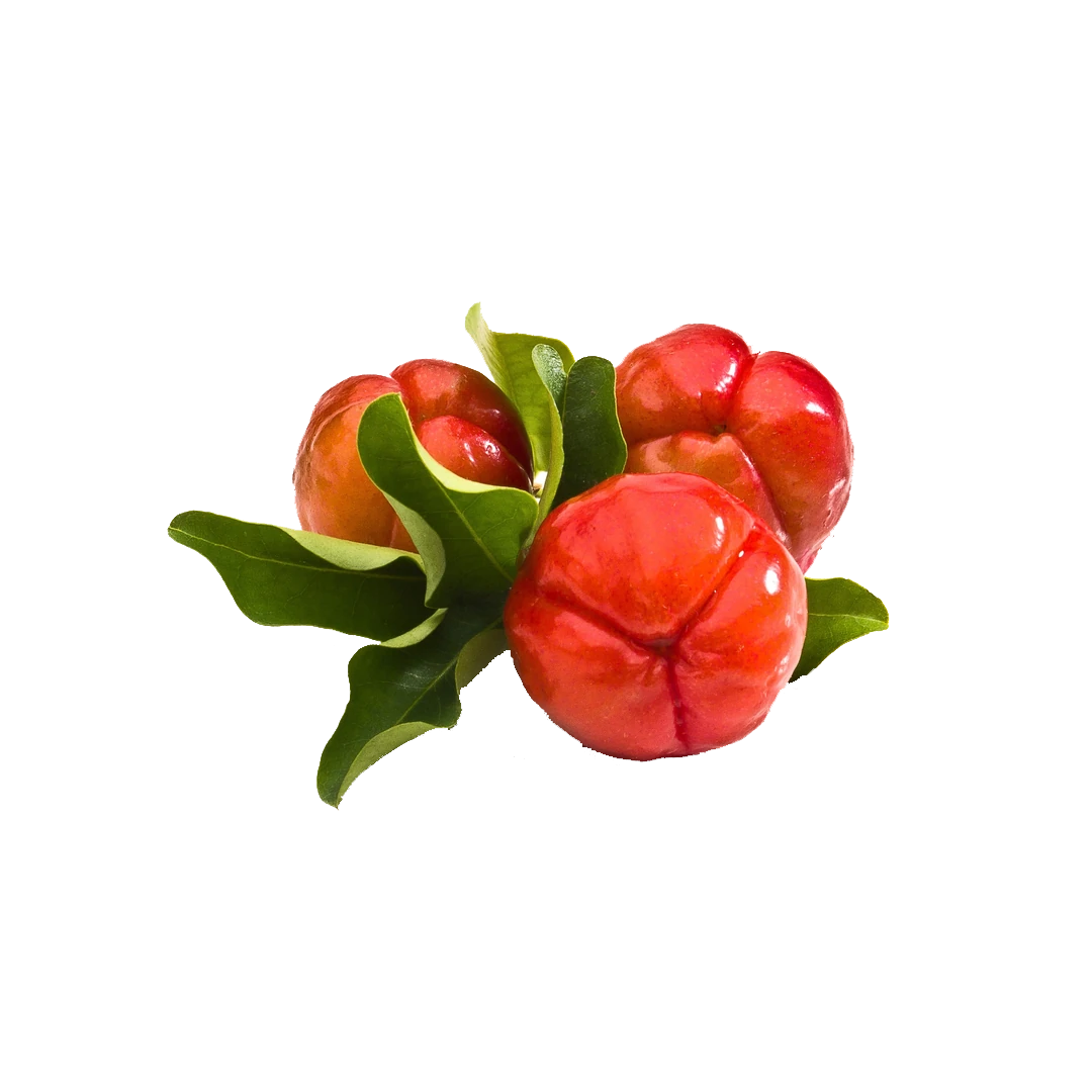 Acerola Vitamin-C Serum - THE FINE ORGANICS