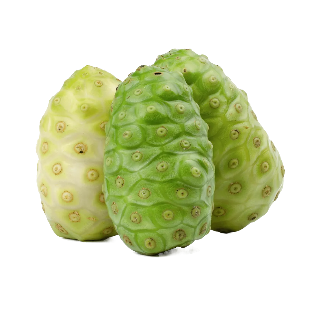 Noni Fruit Whitening Cream - THE FINE ORGANICS