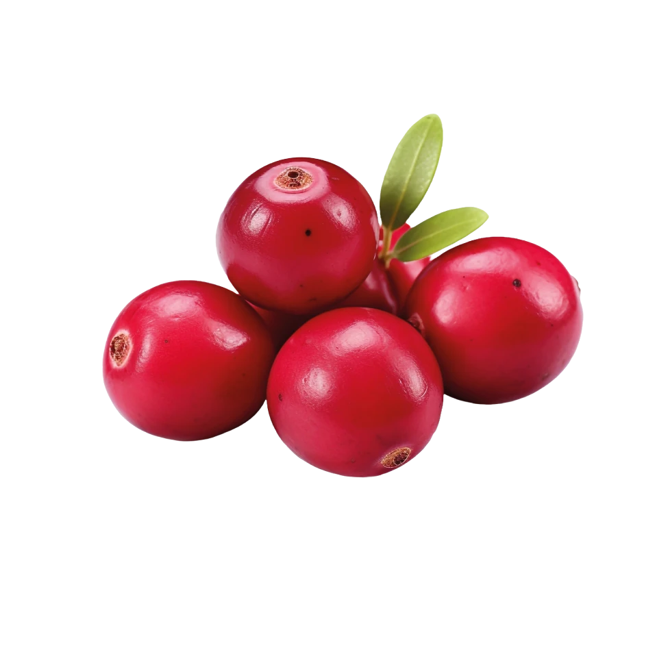 Cranberry Niacinamide & Zinc Serum - THE FINE ORGANICS