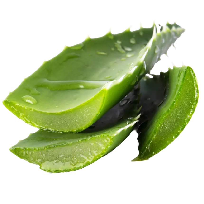 Rose Water & Aloe Vera Tonic