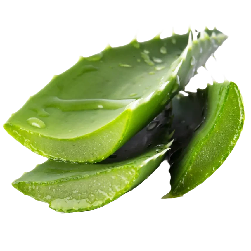 Rose Water & Aloe Vera Tonic - THE FINE ORGANICS