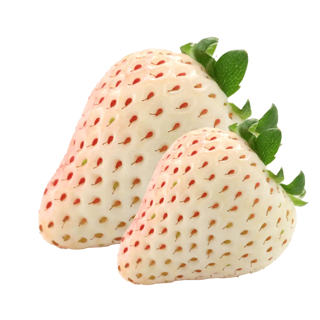 Pineberry Roll-on - THE FINE ORGANICS